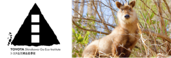 トヨタ白川郷自然学校
